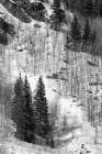 USA, Colorado, Summit County, Frisco. Aspen trees and conifers near Copper Mountain Art Print